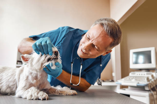 Best Emergency Root Canal Treatment in Uhrichsville, OH