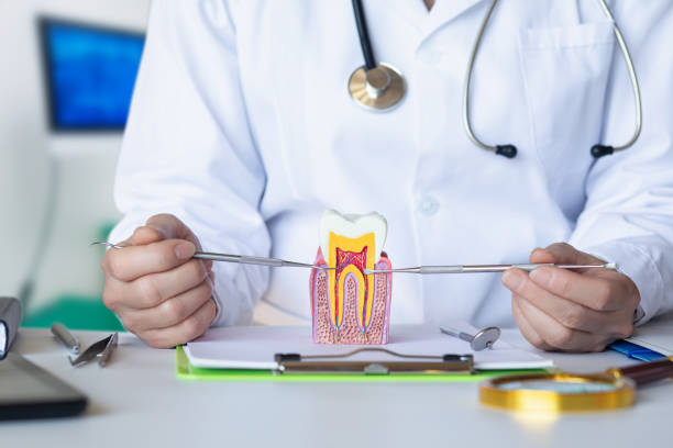 Best Emergency Dental Care for Broken or Chipped Teeth in Uhrichsville, OH
